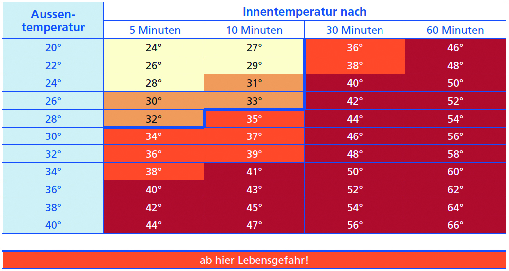 Die Temperatur im Auto steigt auch ohne Hitzetage sehr schnell sehr hoch an und stellt eine grosse Gefahr dar.