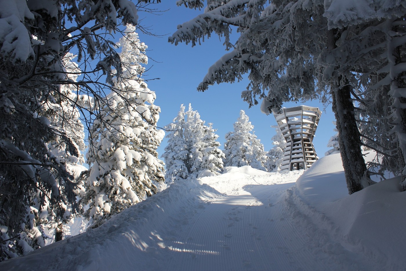 Aussichtsturm auf dem Prodkopf: Der Holzturm des niederländischen Künstler Floris Brasser bietet eine noch bessere Aussicht auf die Bündner Herrschaft und das Rheintal.