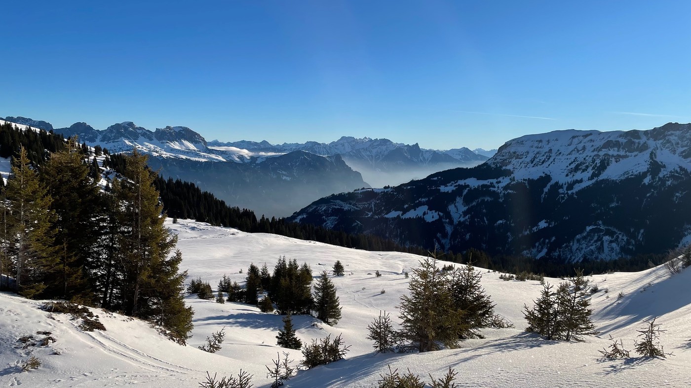 Wildbeobachtung: Mit etwas Glück sieht man auf der Anhöhe Wildtiere wie Gämsen.