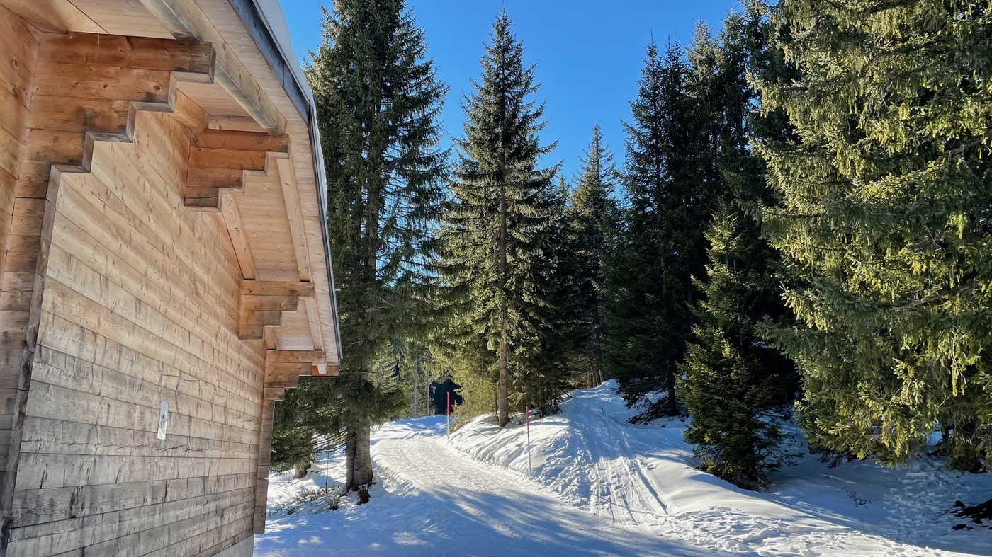 Abkürzung: Ab der Rastplatzhütte Heidi und Peter kann die Winterwanderung verkürzt werden.
