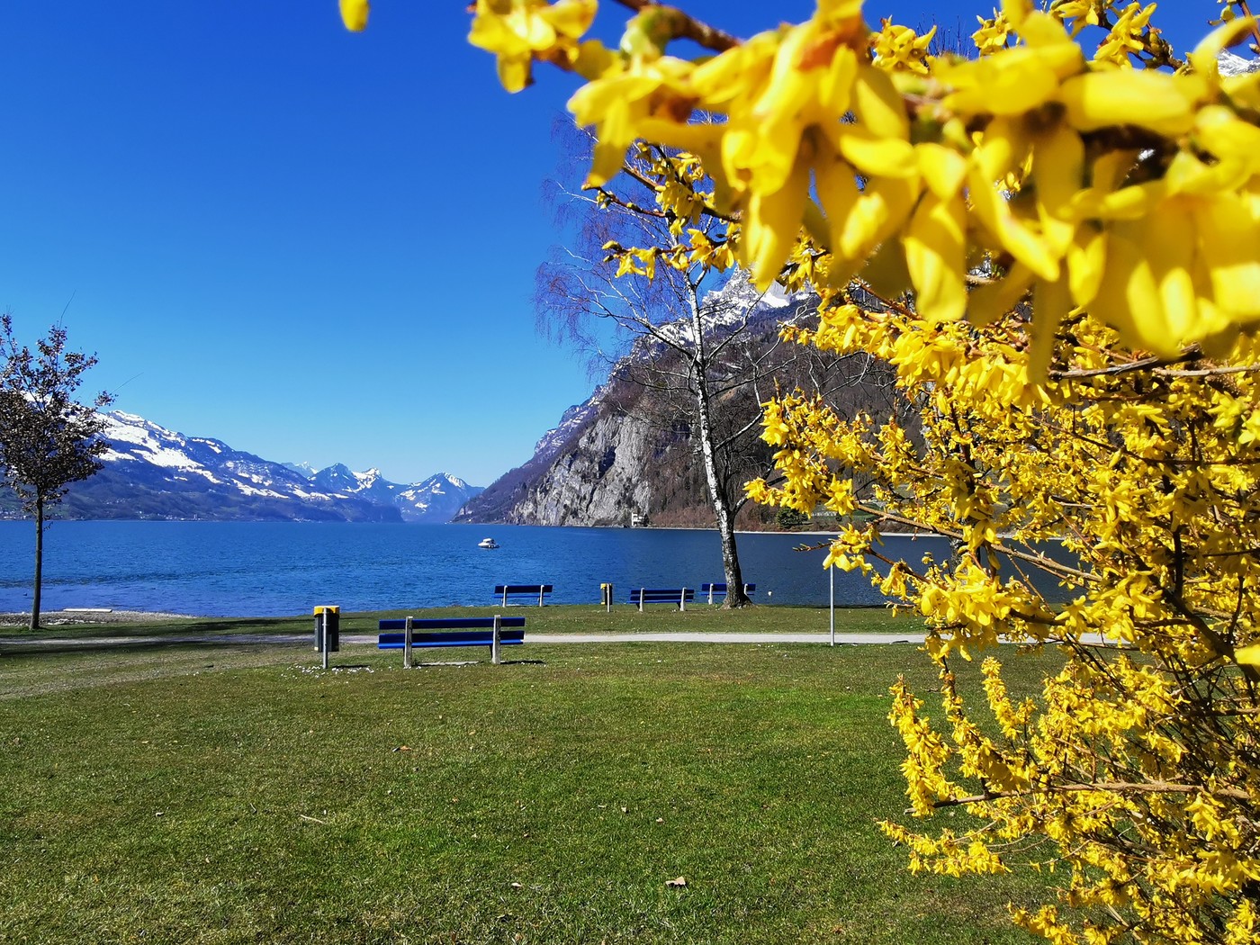 Am Walensee: Mit den Frühlingswanderungen können Sie die Sonne in malerischer Natur geniessen.