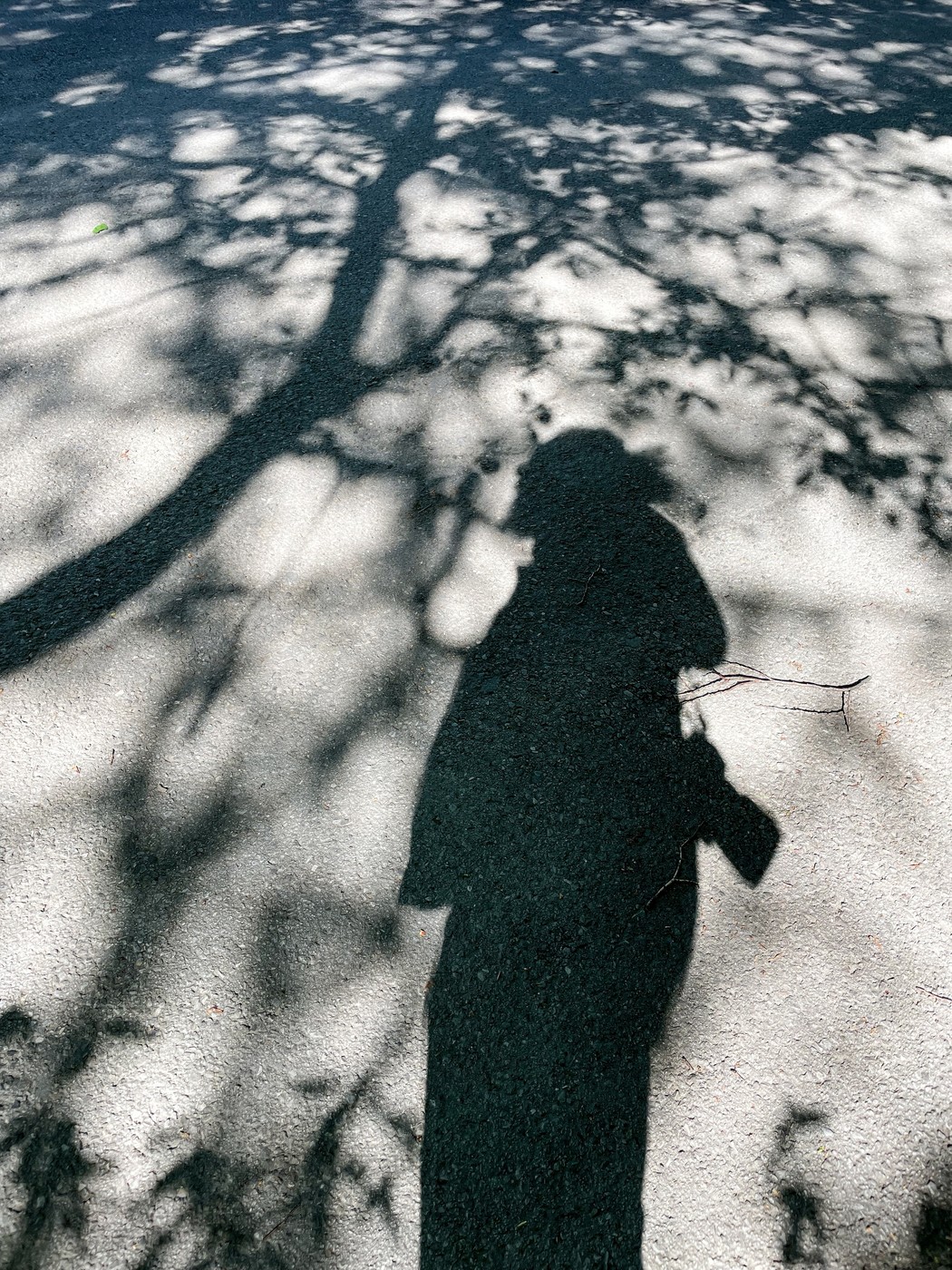 Das erste Schatten-Selfie von Sasi Subramaniam.