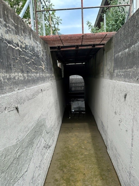 Sitzen in der Falle: Aus diesem Schacht kamen die Enten nicht mehr raus.