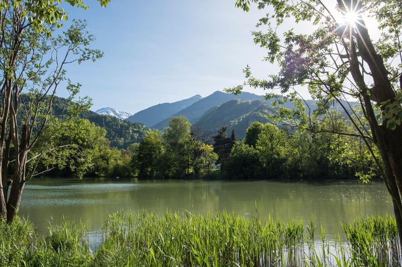 Zwischen Zweigen und Dämmen: Mit einem Ranger können die Biber im Giessenpark Bad Ragaz beobachtet werden.