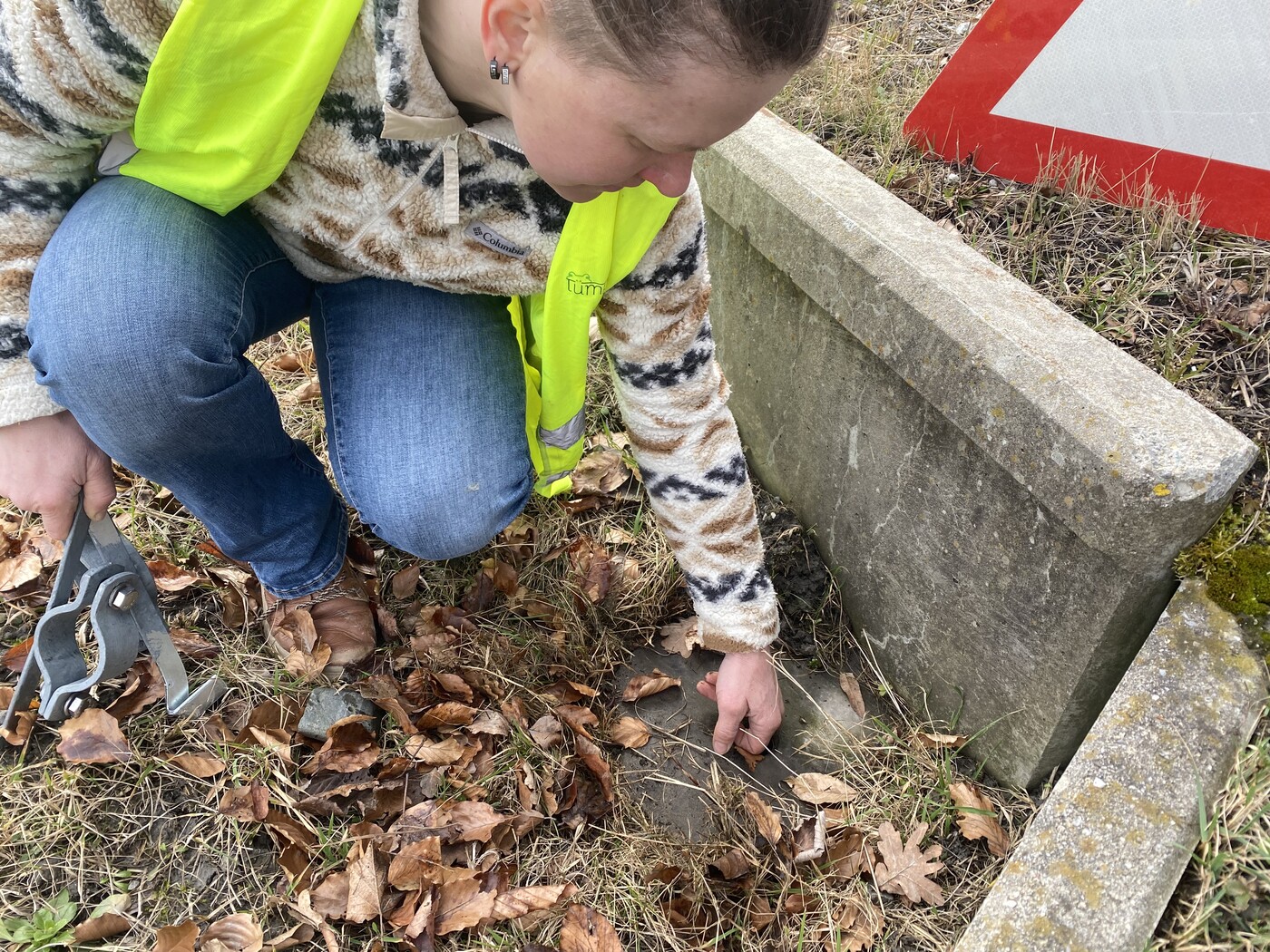 Sammelschächte: Der sichere Zwischenstopp für die Amphibien.