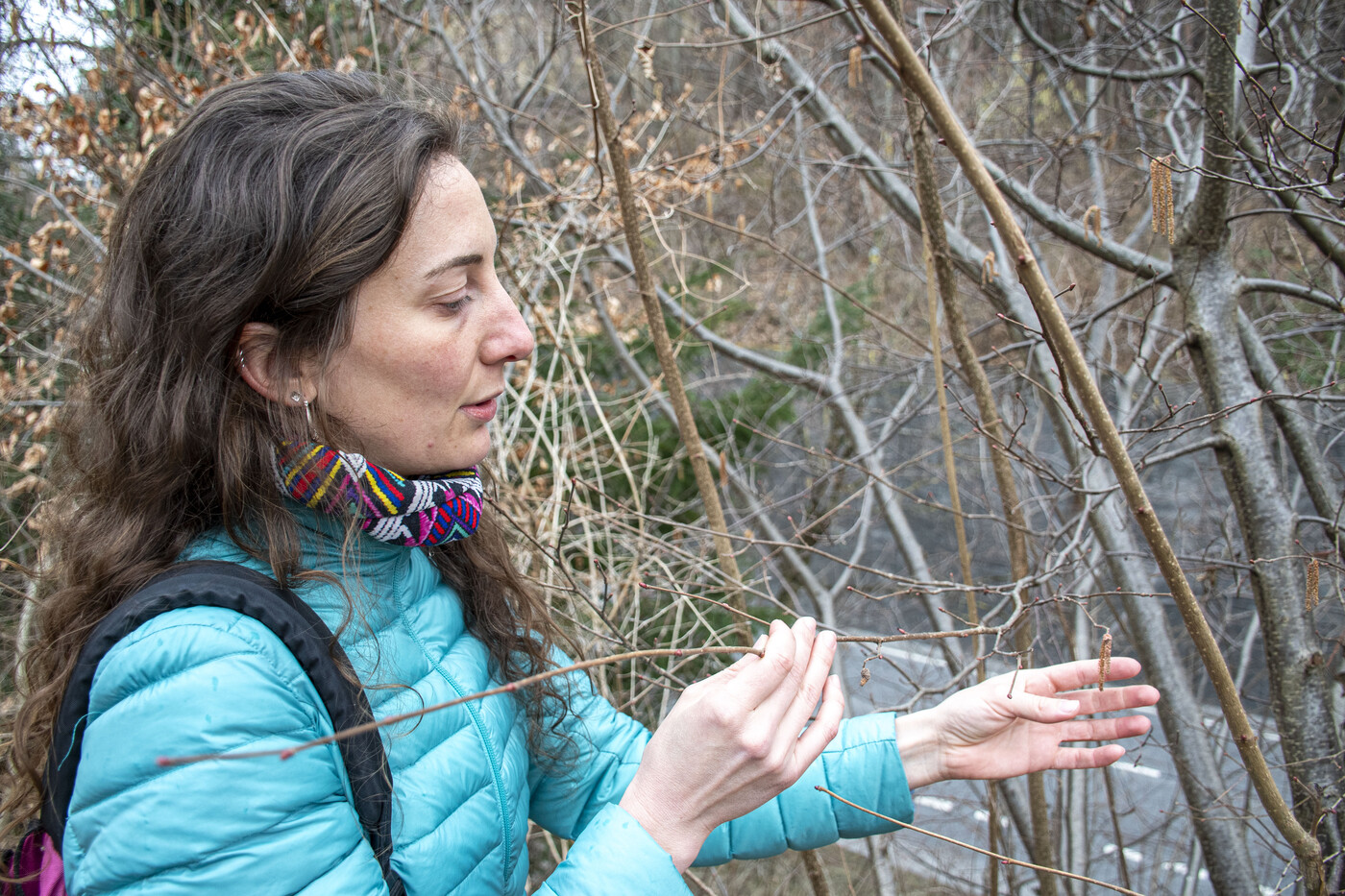 Nichts für Heuschnupfengeplagte: Biologin Carole Spori entdeckt die Kätzchen an der Hasel.