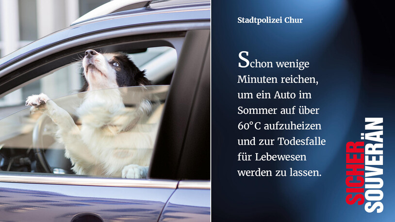 Die Stadtpolizei macht auf die Gefahr in parkierenden Autos aufmerksam.