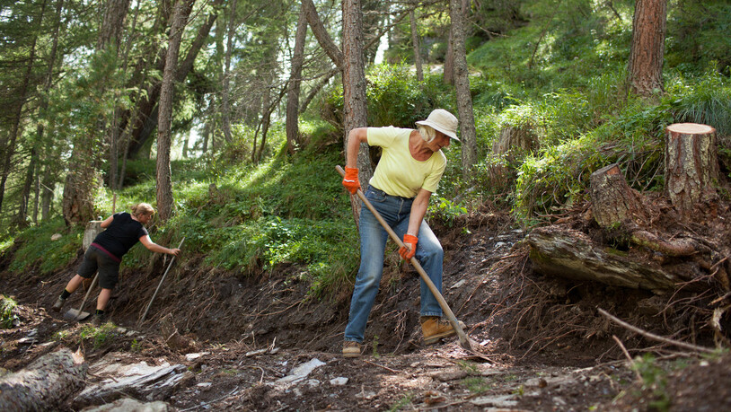 Während über 100 Projektwochen arbeiten die freiwilligen Helfer für den Erhalt des Schutzwaldes in diesem Jahr.