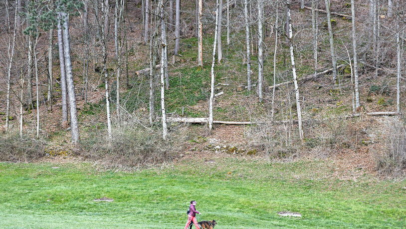 Es ist fast alles wie immer, und nichts wie sonst | Linth-Zeitung