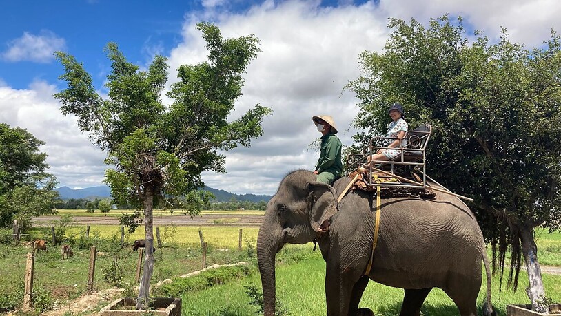 Toursiten reiten auf einem Elefanten in der Provinz Dak Lak. Obwohl lokale Behörden bereits 2020 von einem möglichen Verbot gesprochen haben, geht die umstrittene Praxis des Elefantenreitens im vietnamesischen Hochland weiter. Foto: Chris Humphrey/dpa