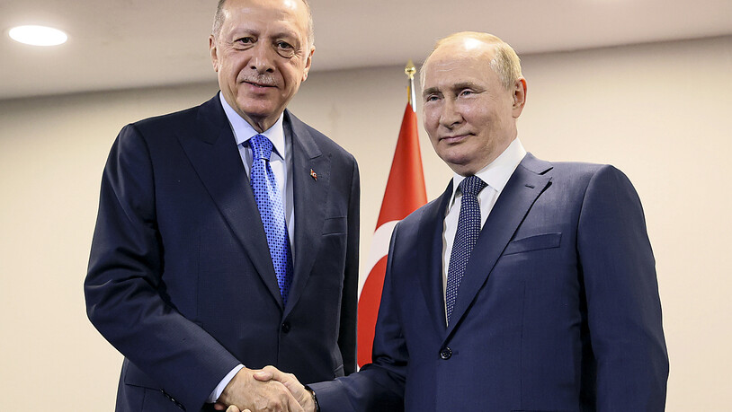 ARCHIV - Das von der staatlichen russischen Nachrichtenagentur Sputnik über AP veröffentlichte Bild zeigt Wladimir Putin (r), Präsident von Russland, und Tayyip Erdogan, Präsident der Türkei, während ihres Treffens im Saadabad-Palast. Foto: Sergei…