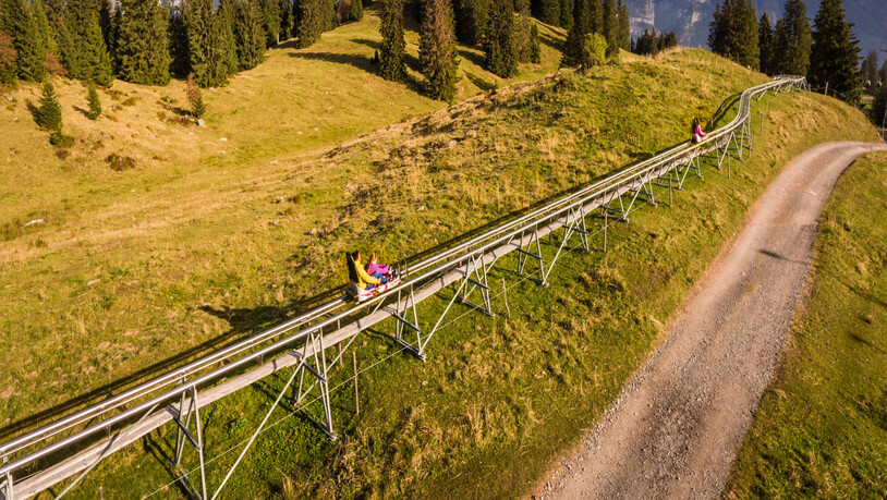 Am Flumserberg: Rodelgäst vor atemberaubender Kulisse mit der Bergkette Churfirsten
