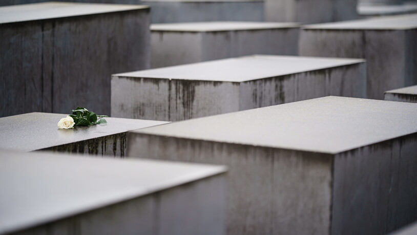 Eine Blume liegt auf einer Stele des Denkmals für die ermordeten Juden Europas in Berlin.