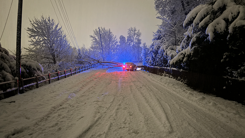 Schlechte Strassenverhältnisse: Wegen der rutschigen Fahrbahn konnte der Autofahrer nicht mehr rechtzeitig bremsen und kollidierte mit dem Baum.