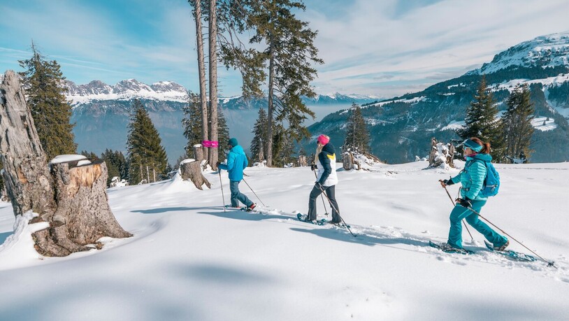 Wildtier-Erlebnis: Eine geführte Schneeschuhwanderung mit Informationen zu den Überlebensstrategien der Wildtiere im Winter. 