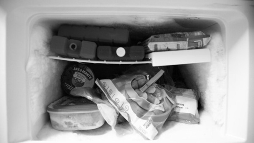 Dies ist bestimmt nicht die richtige Methode, wie man Lebensmittel im Gefrierschrank aufbewahren sollte.
Bildquelle: Juliopablo via pixabay.com