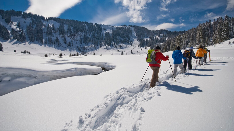 Spannend und lehrreich: auf Spurensuche mit den Schneeschuhen am Flumserberg.