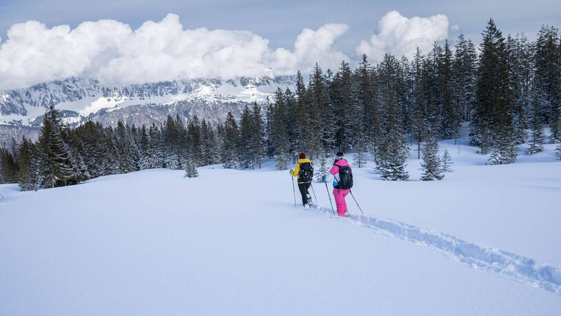 Den Vollmond entgegen: Am 16. Februar 2022 findet die nächste Wanderung statt.