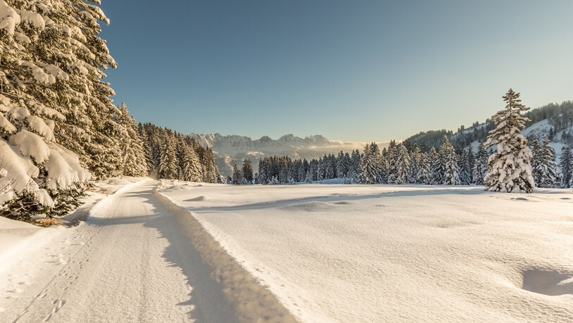 Ab der Rastplatzhütte Heidi und Peter kann die Winterwanderung verkürzt werden. 