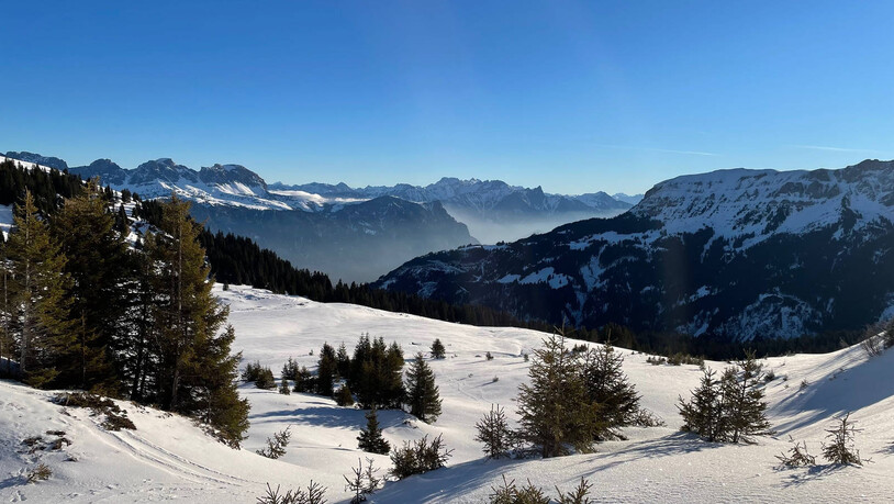 Halte auf der Anhöhe Ausschau nach Wildtieren.