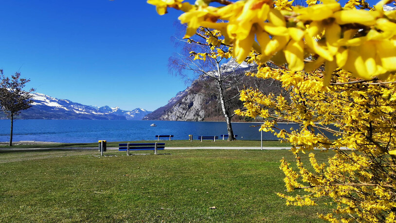 Sonnenbänkli in Walenstadt: mit Ausblick auf den Walensee und den Churfirsten.