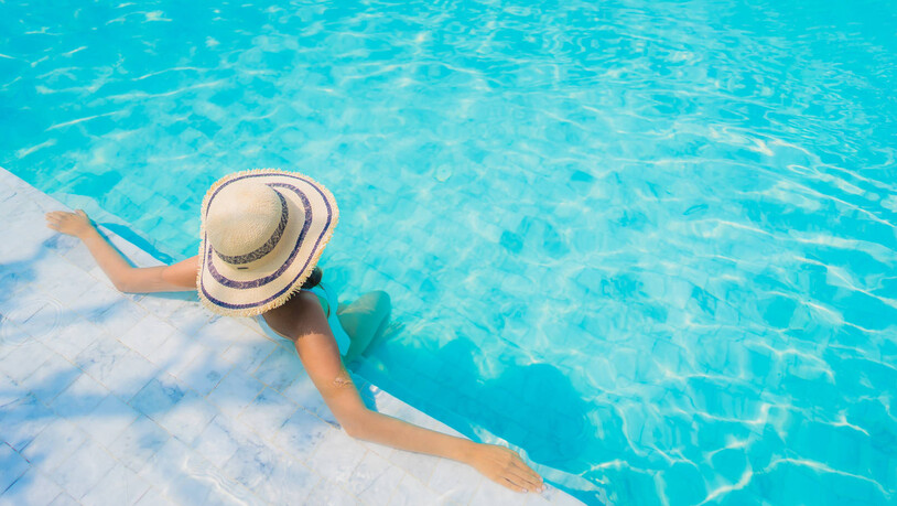 Der (Ferien-)Alltag ist zurück: Nun möchten viele Hundebesitzerinnen und Hundebesitzer wieder verreisen. Doch was tun mit dem Haustier? Für dieses muss man ein vorübergehendes Zuhause finden – eine Kostenfrage.