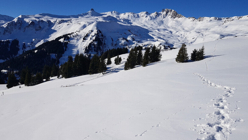 Abseits vom Rummel der Skipisten geniesst man auf dem Schneeschuhtrail Panüöl-Prodalp die Aussicht zum Spitzmeilen.