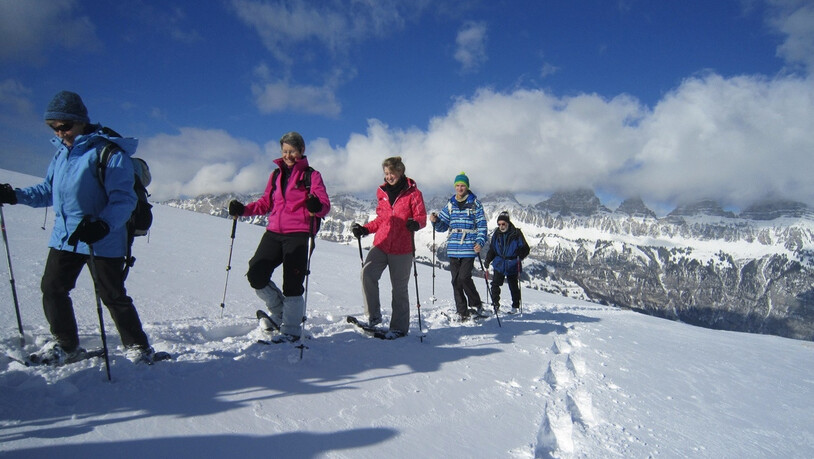 Tierspuren lesen: Am 4.Februar findet die nächste Tour statt.
