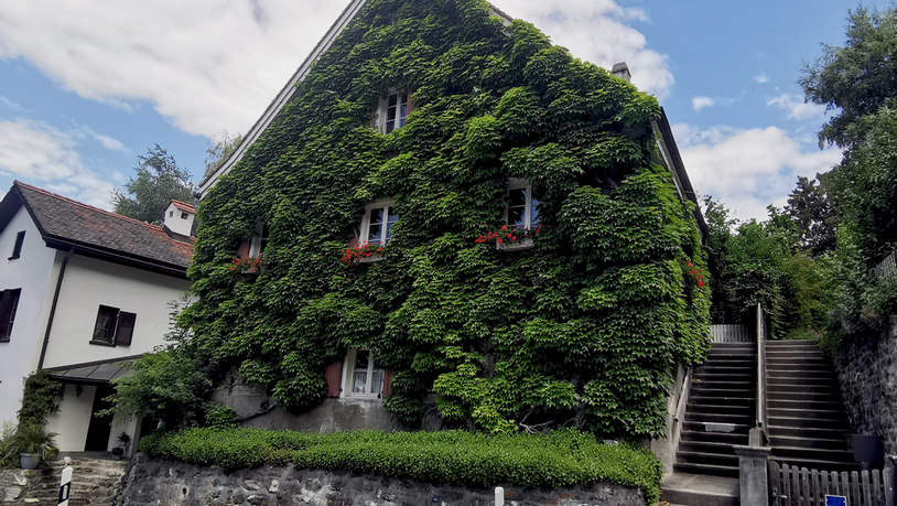 Fast zugewachsen: Auf dem Weg in die Altstadt läuft man an einem besonderen Haus vorbei. Seine Fassade ist fast vollständig begrünt.