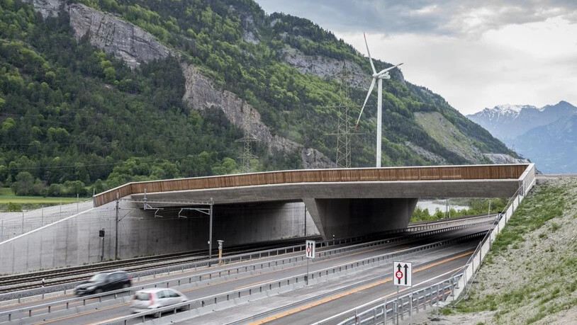 Wildbrücke Brücke