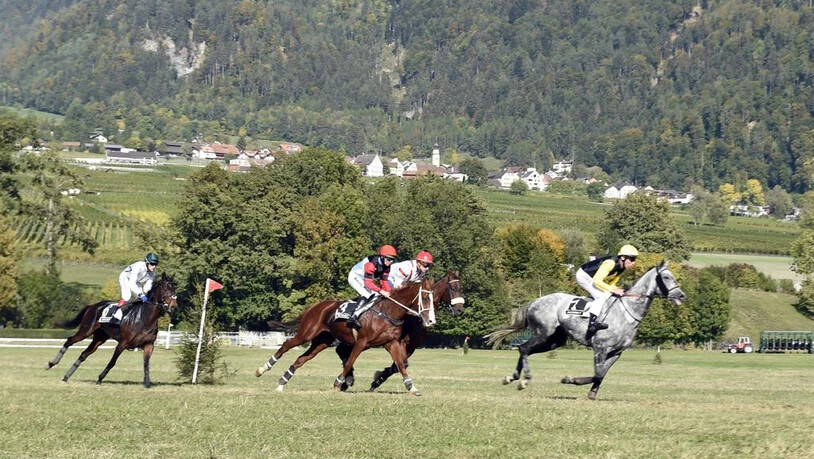 Pferderennen Maienfeld 2018