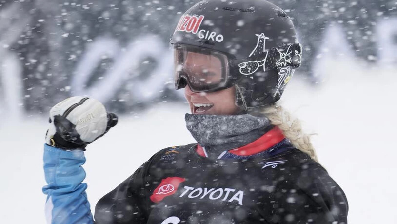 USA SNOWBOARD AND FREESTYLE WORLD CHAMPIONSHIPS