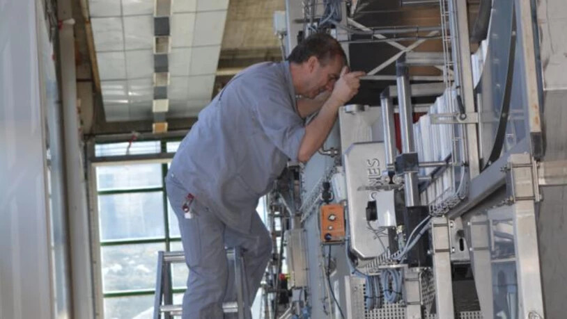 Elm, Citro, Mineral, Produktion, Arbeiter, Ausbau