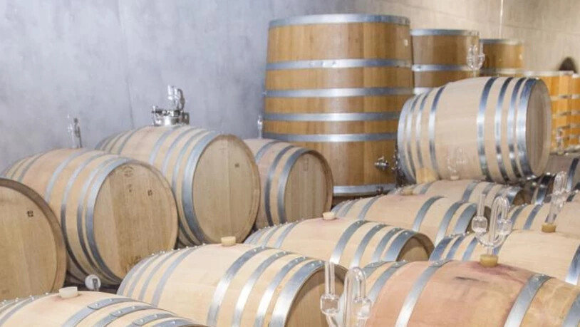 Daheim im Schloss Helene von Gugelberg Schloss Salenegg Maienfeld