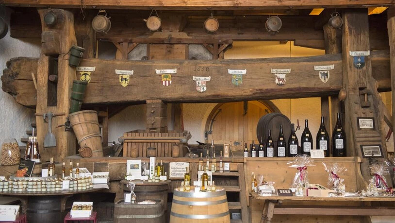 Daheim im Schloss Helene von Gugelberg Schloss Salenegg Maienfeld