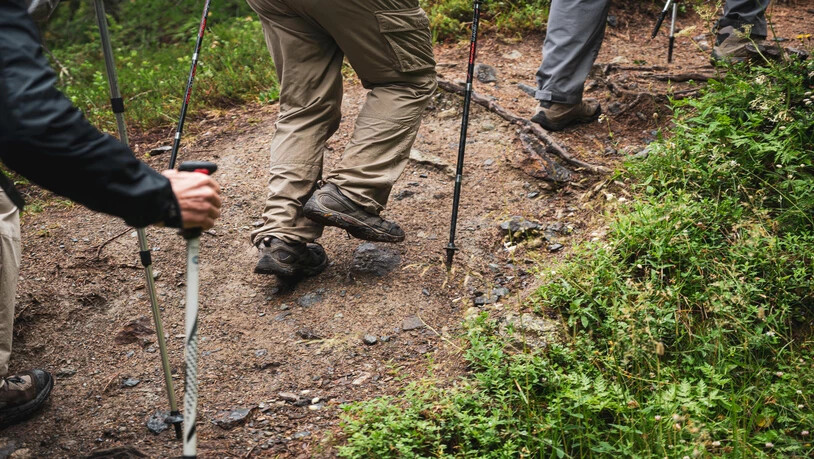 Über Stock und Stein mit Stöcken: Doch wie viel Toleranz ist gefragt, wenn auch noch E-Biker auf dem Wanderweg unterwegs sind?