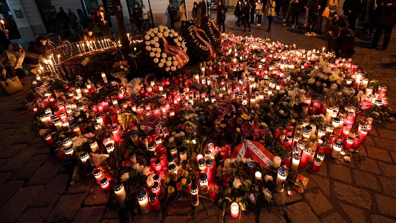 OESTERREICH TERROR WIEN