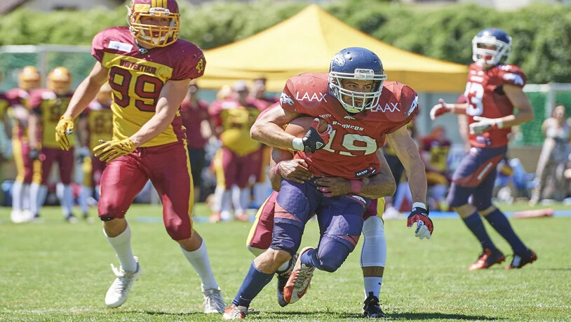 Die Calanda Broncos erteilen den Winterthur Warriors eine Lehrstunde.