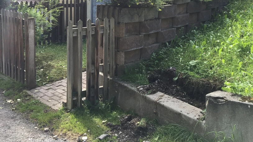 An der Unteren Albertistrasse wurden ein Gartengatter und zwei Zierbäume ausgerissen.