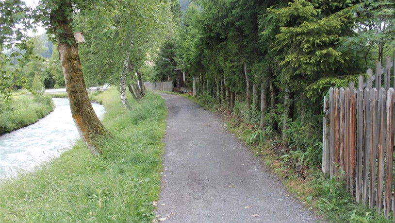 Ein grosser Teil des Holzzauns, der den Garten der Liegenschaft zum Dammweg abgrenzt, wurde mutwillig entfernt.