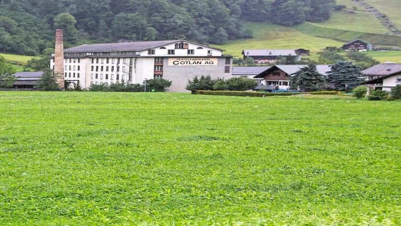 Beim Cotlan-Projekt soll die Abwärme der Server im Fabrikgebäude zur Aufzucht von Hanfpflanzen genutzt werden.