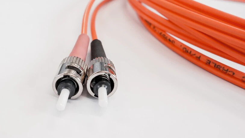 Die Technischen Betriebe Glarus Süd teilt künftig. 