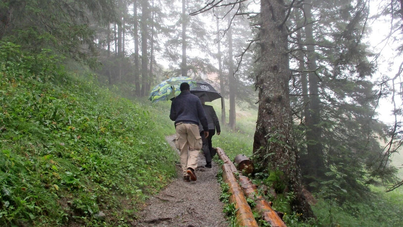 Dieser Wanderweg soll zu einer Zufahrtstrasse ausgebaut werden.