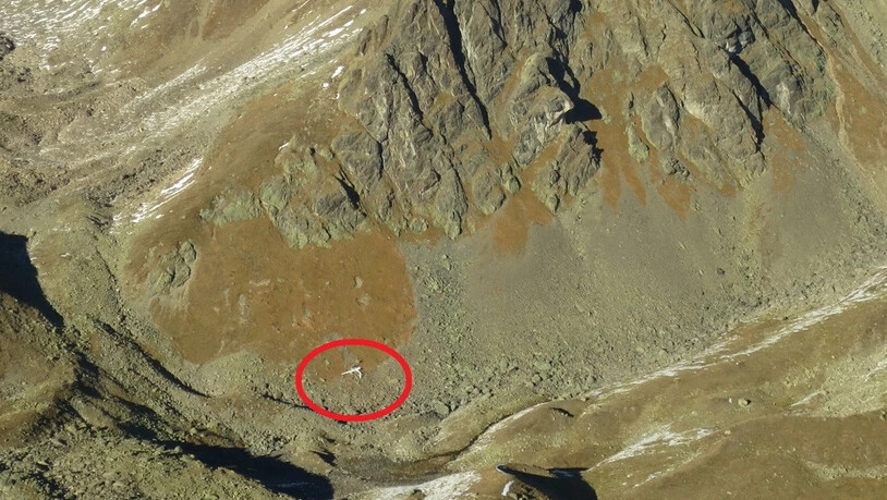 Hier stürzte das Segelflugzeug ab. 