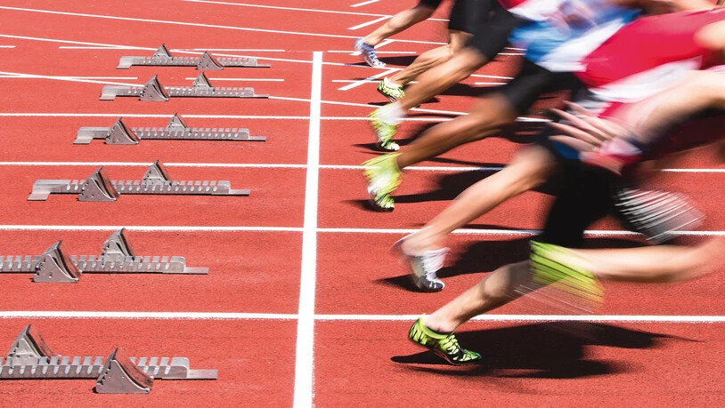 Direktes und gleichzeitiges «Kräftemessen» aller Anbieter – wie bei einem 100-Meter-Lauf. 