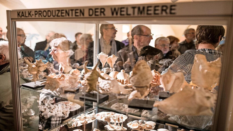 Reise in die Vergangenheit: Die Ausstellung in Mollis lässt das Herz eines jeden Geologen schneller schlagen.