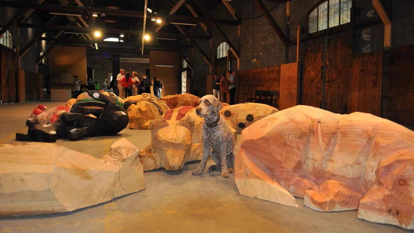 Severin Müllers «müde Hunde» sind schon eine Weile her (2013), zeigen aber die populären Ausstellungen im Güterschuppen.