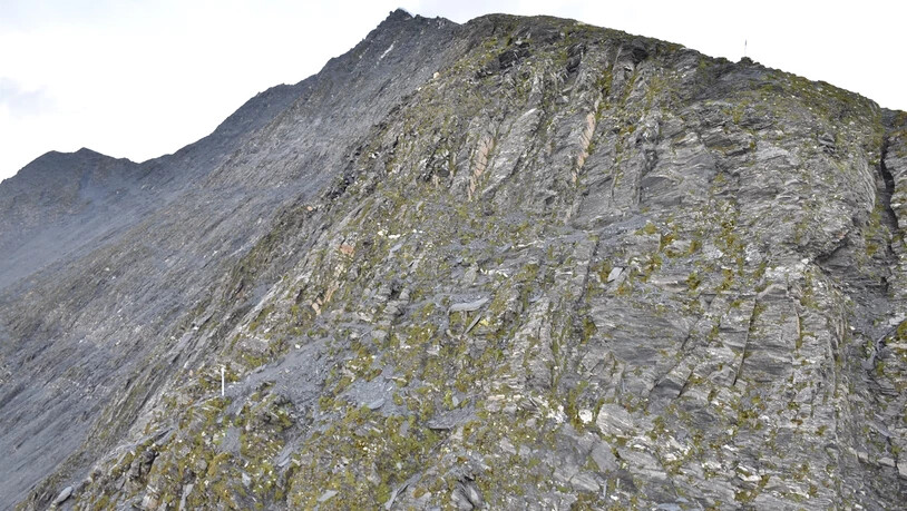 Der Piz Terri.