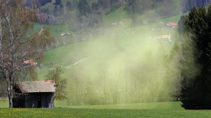 Die Intensität der Pollensaison war 2018 regional sehr unterschiedlich. Deutlich kürzer war die Pollensaison in Genf und Neuenburg. (Archiv)