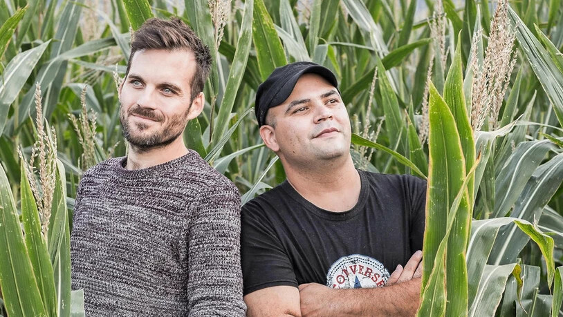 Musiker im Maisfeld: Marco Desimoni (links) und Marco Heussi wollen zwölf Jahre nach der Bandgründung hoch hinaus. 